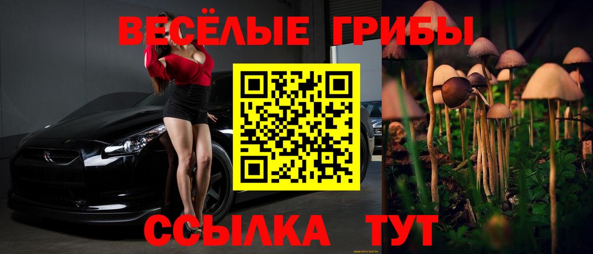 Псилоцибиновые грибы ЛСД  Галлюциногенные грибы Cubensis  Чехов  Вход с VPN 